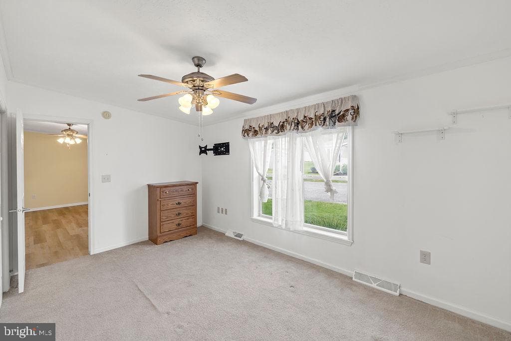 602 Pine Tree Lane photo 18