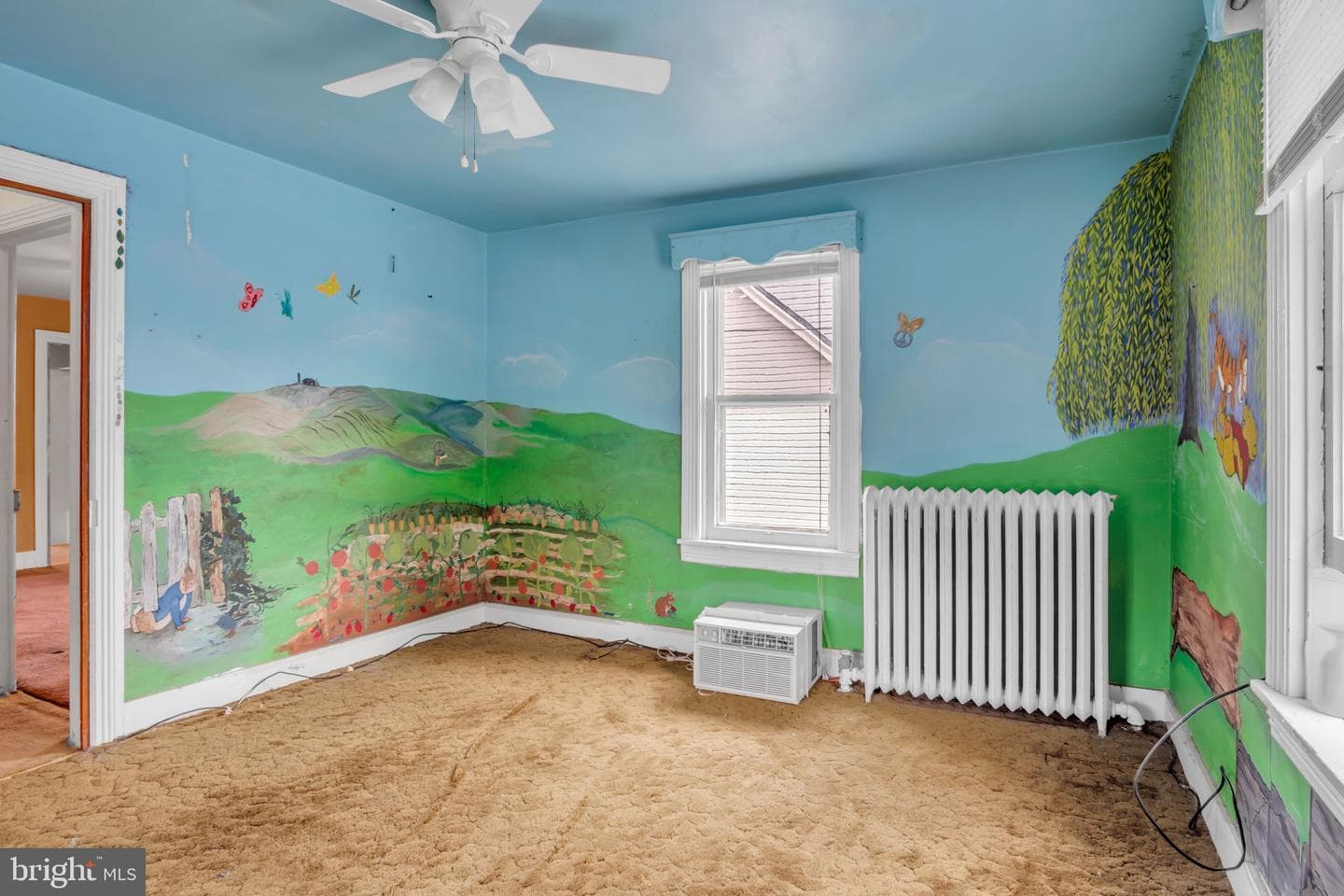 151 Park Street photo 22
