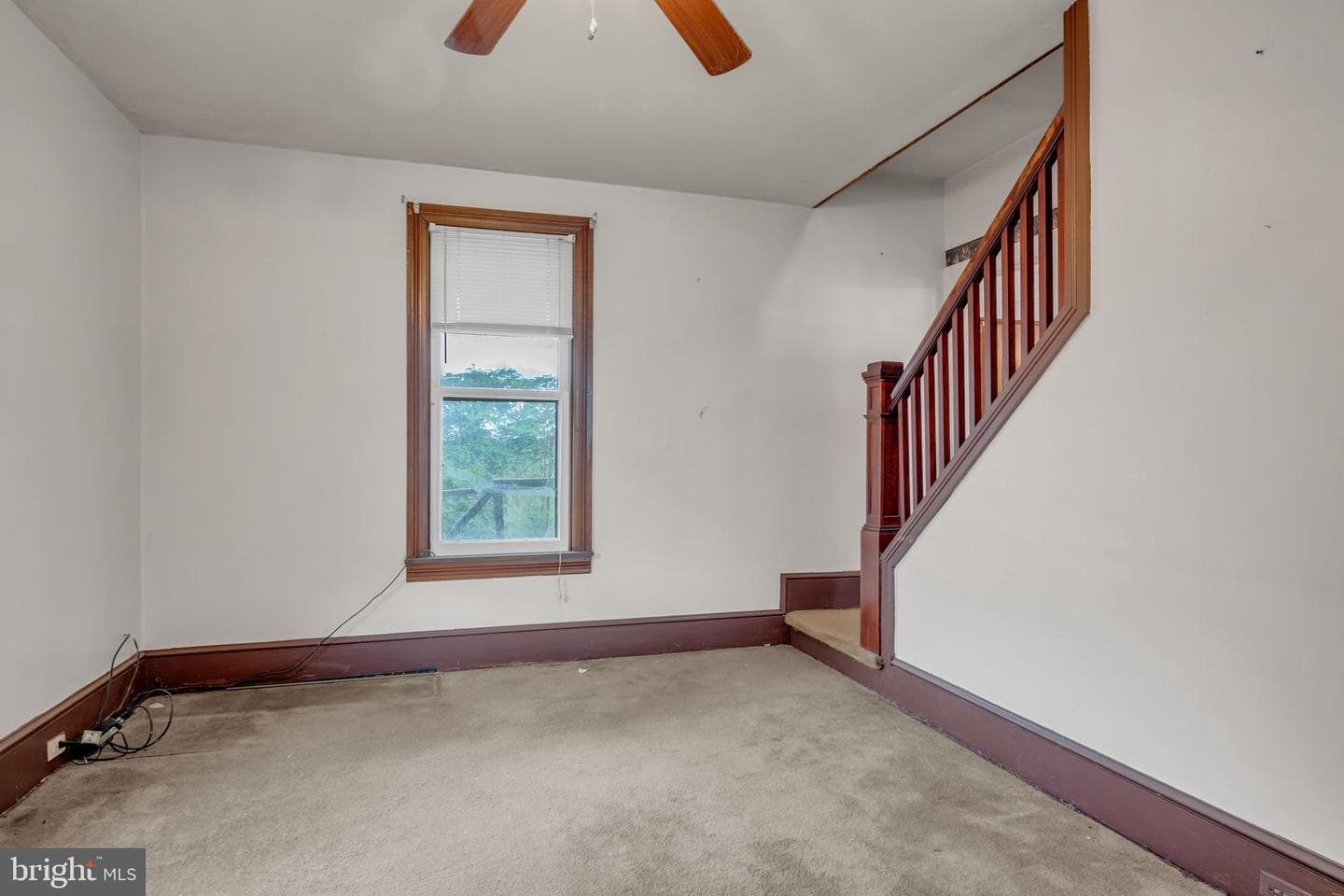 151 Park Street photo 3