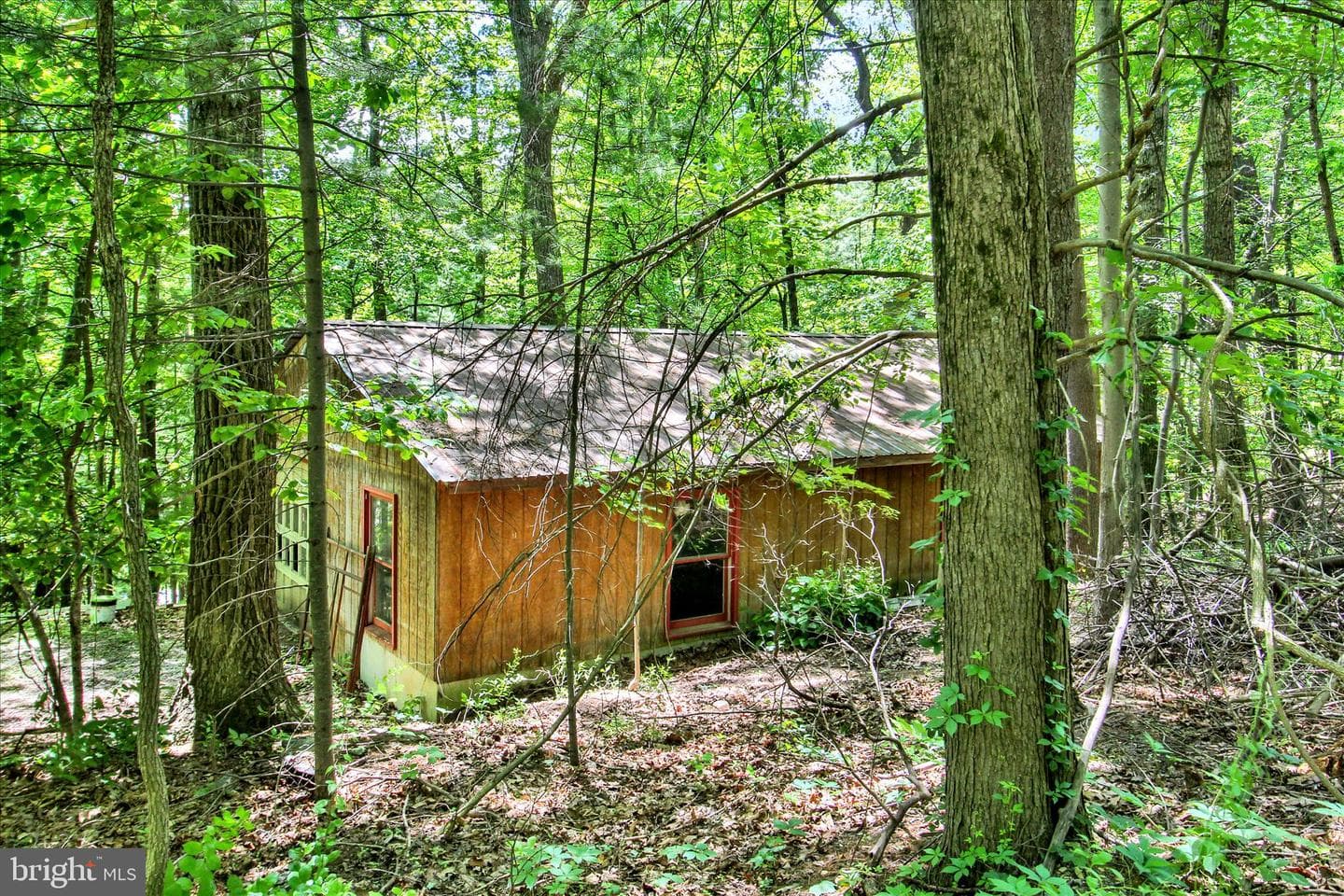 165 Oak Drive photo 27