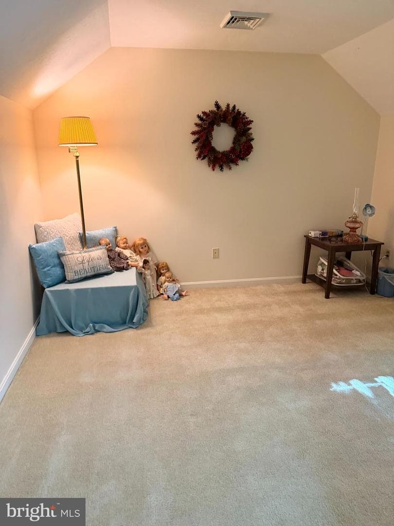 53 Apple Jack Lane photo 22