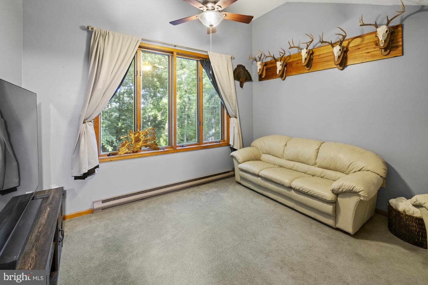 8 Hill Drive photo 35
