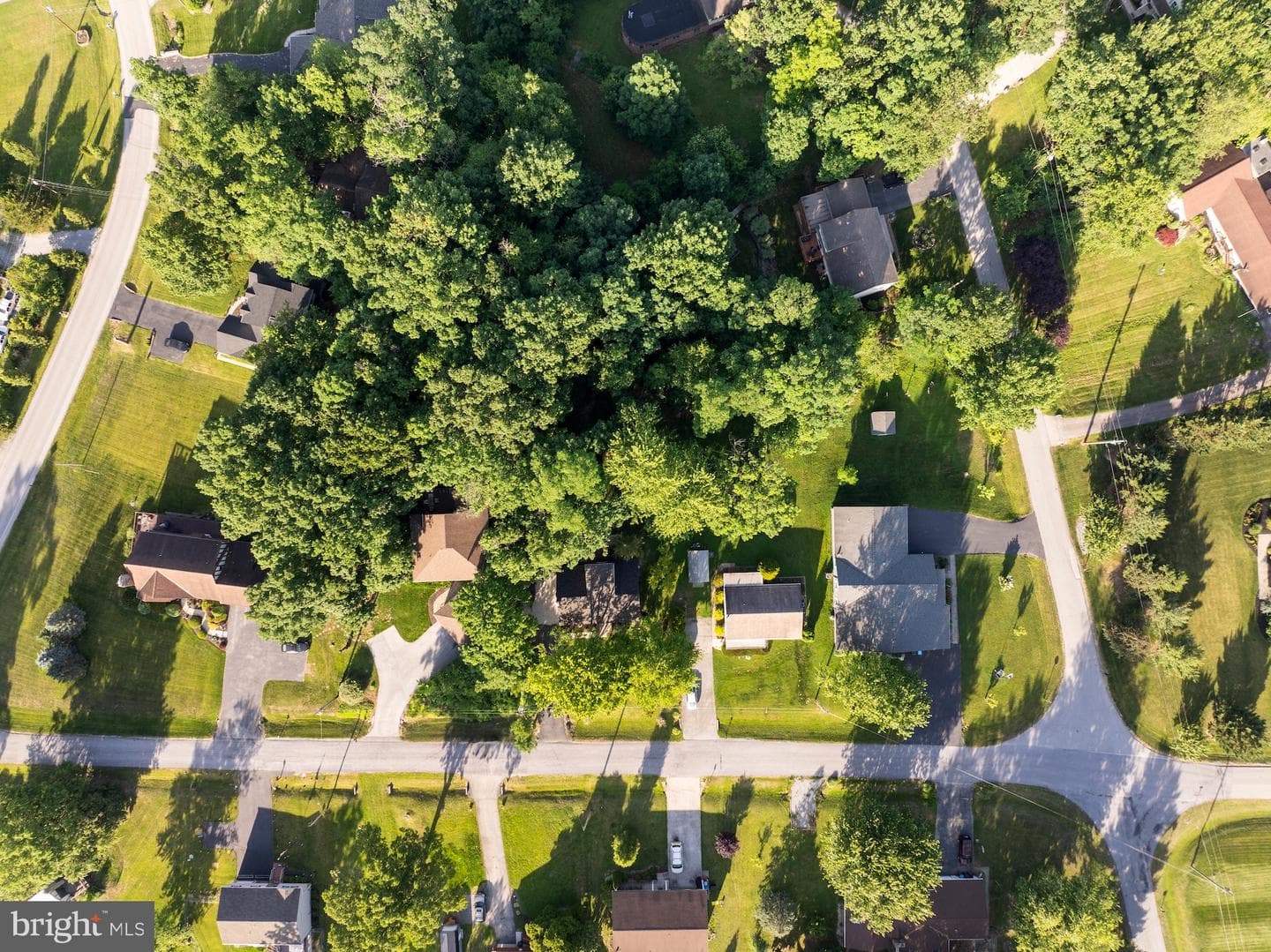 8 Hill Drive photo 46