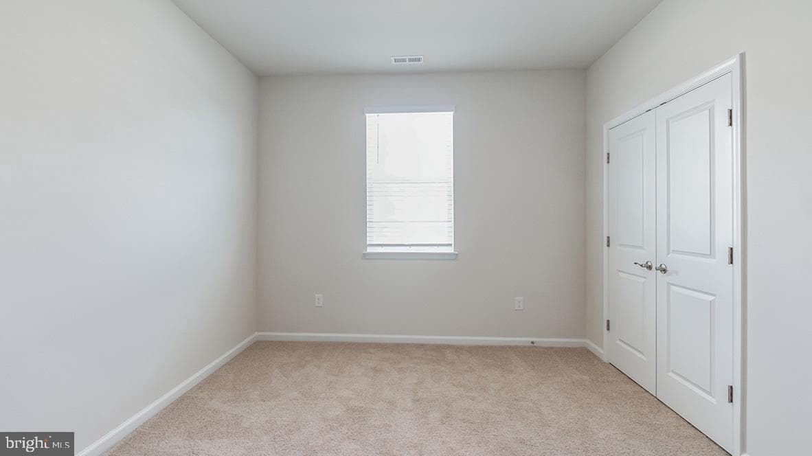 113 Elderberry Way photo 7