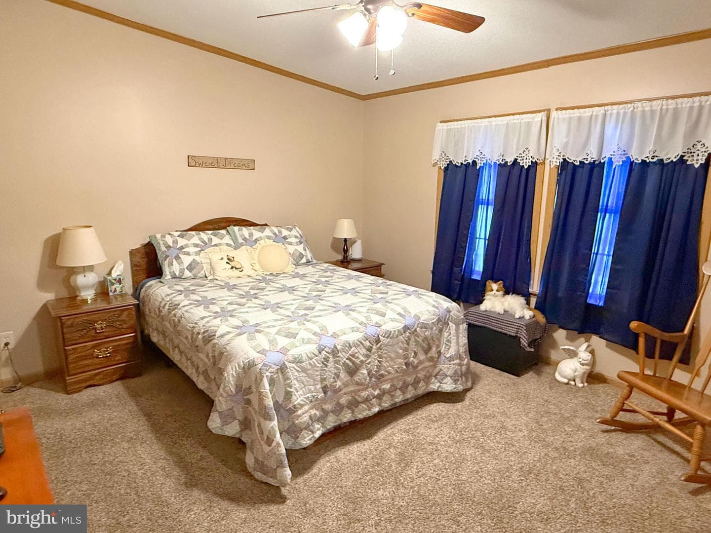 115 Raptor Drive photo 13