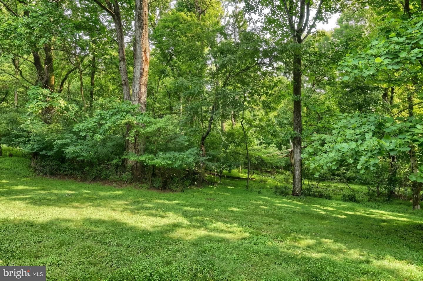 345 Moritz Road photo 14