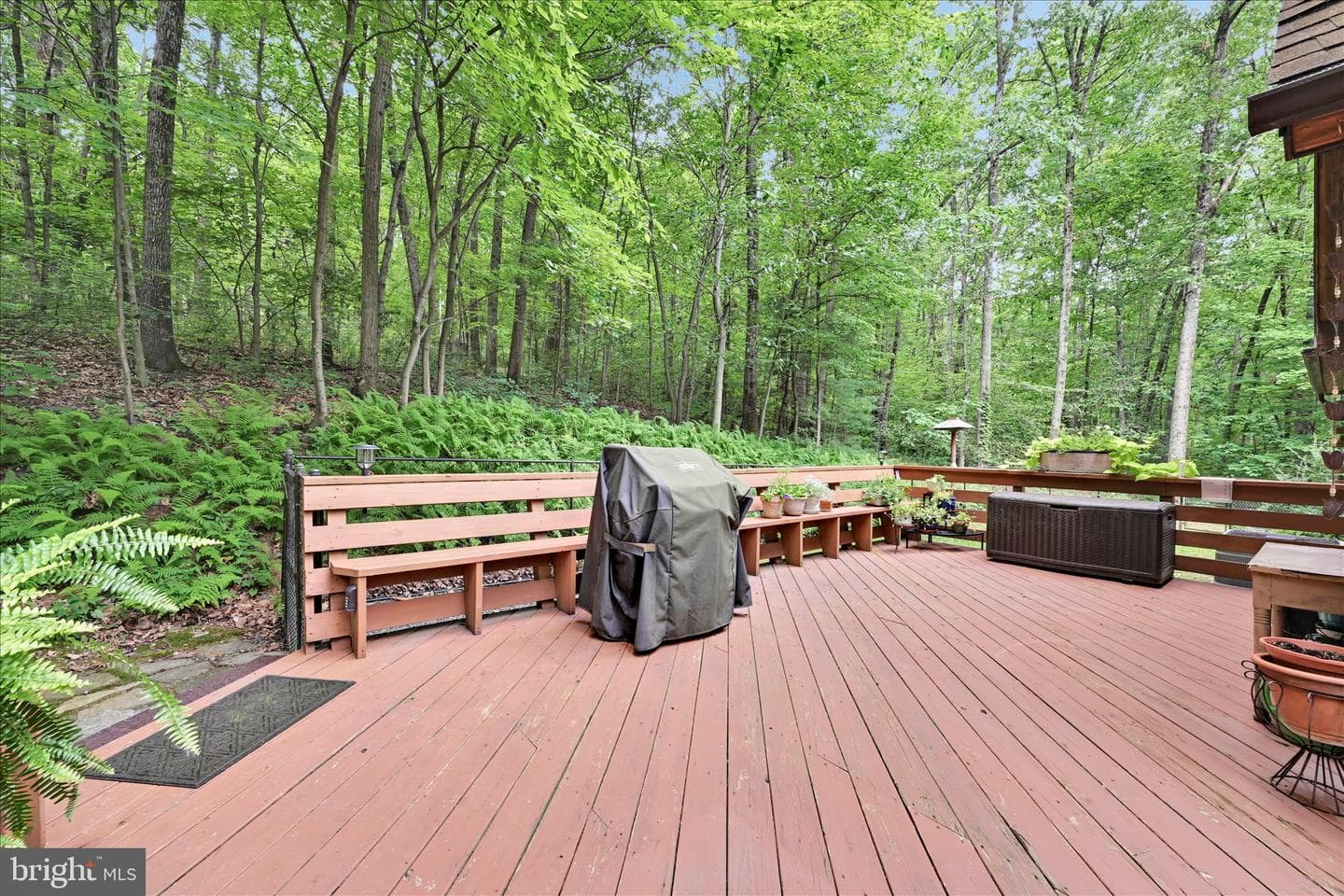 15 Ed Avenue photo 53
