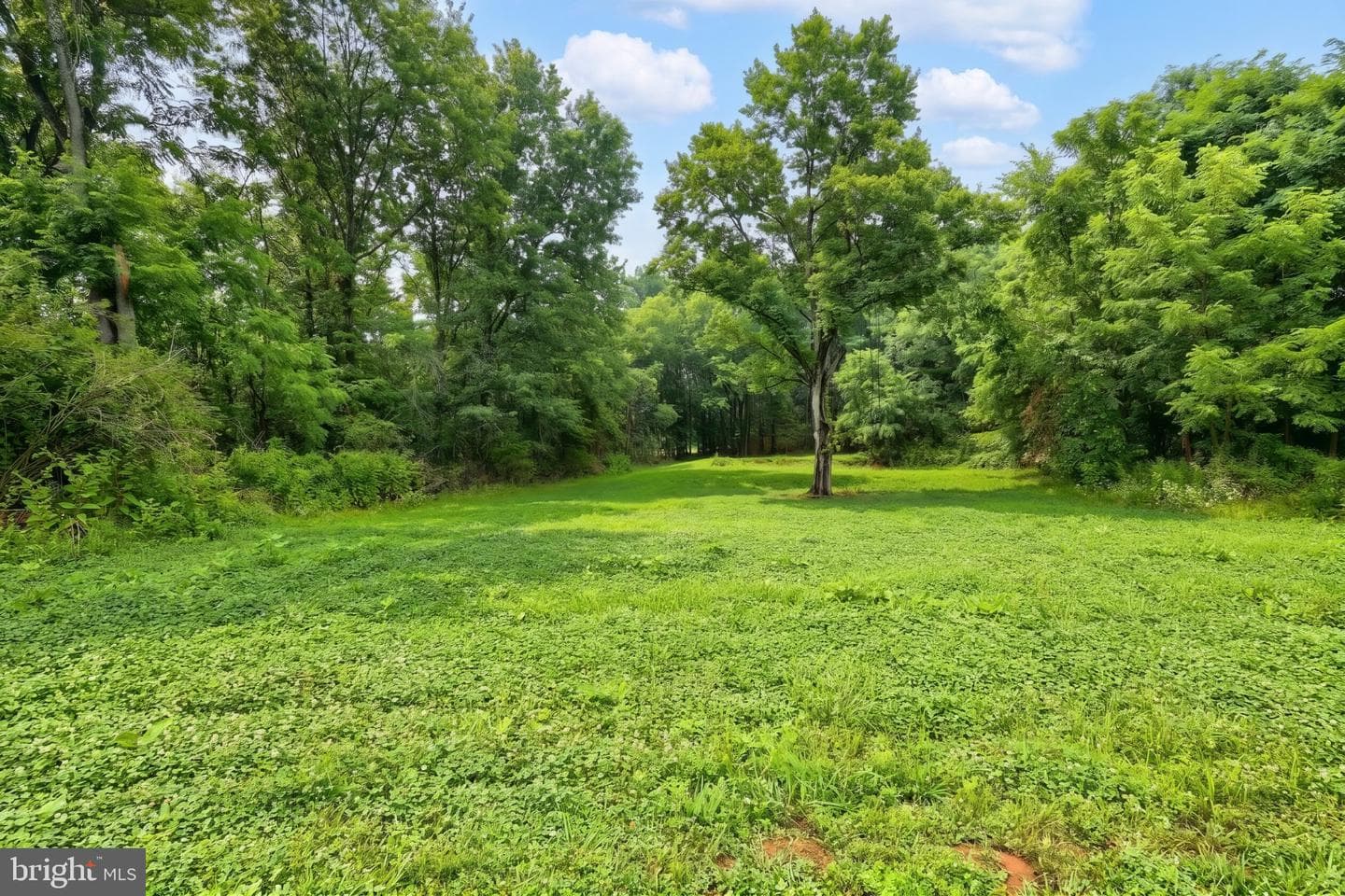 1001 Frederick Pike photo 44