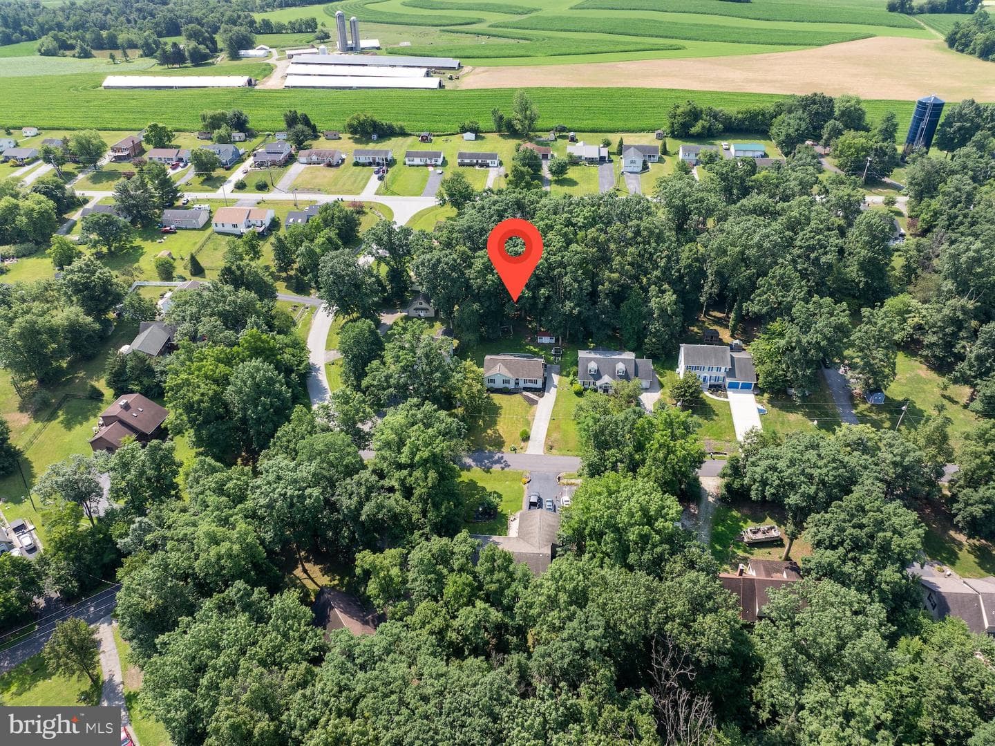 16 Halleck Drive photo 49
