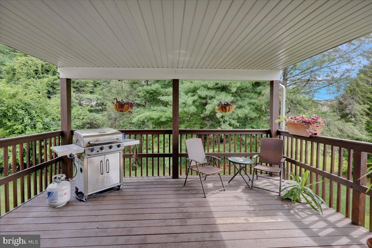17 Charlemont Court photo 10