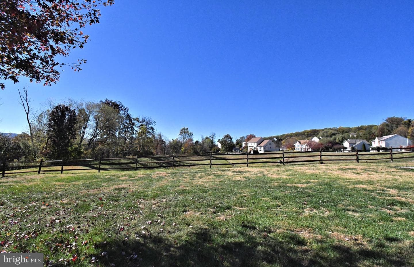 306 Kingston Drive photo 62