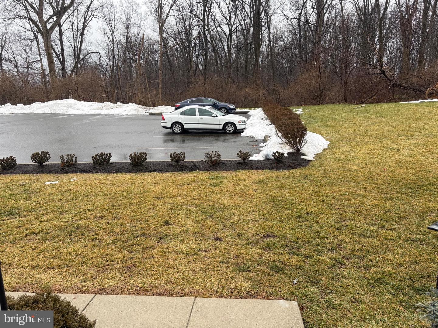 74 Emily Court photo 31