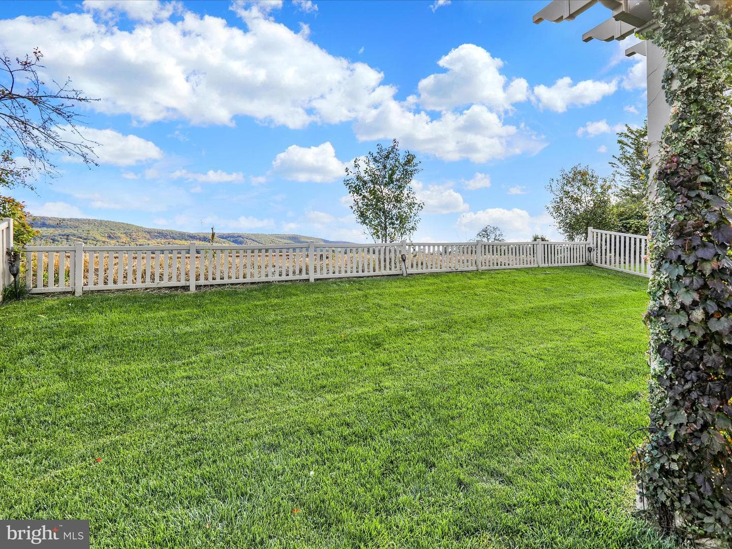 143 Rosebush Court photo 19
