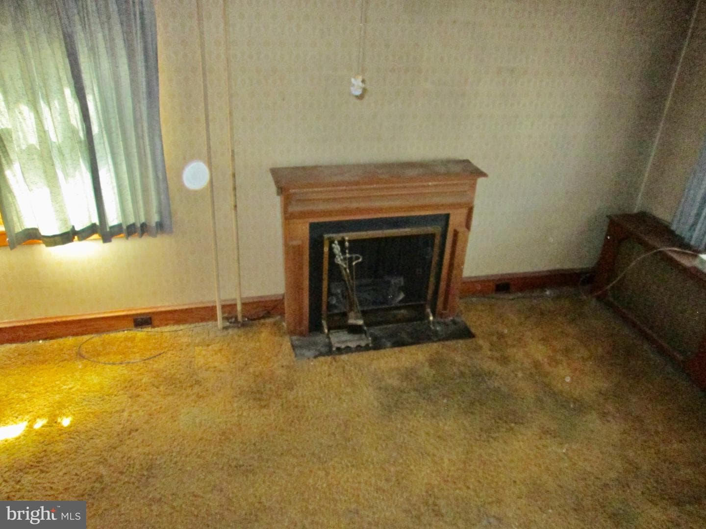 431 Raymond Street photo 5