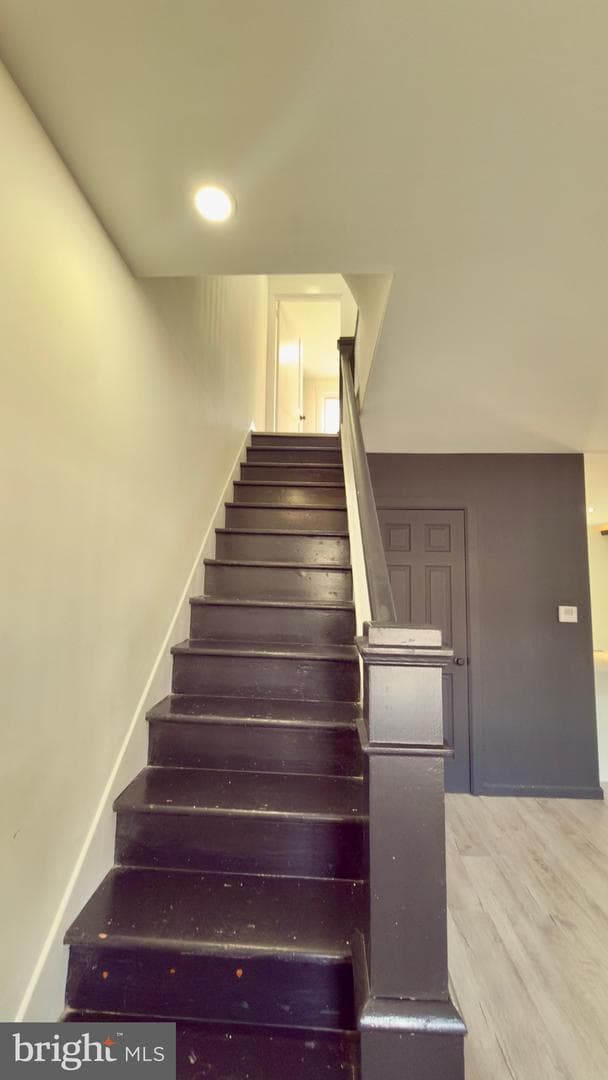 24 Marshall Avenue photo 27
