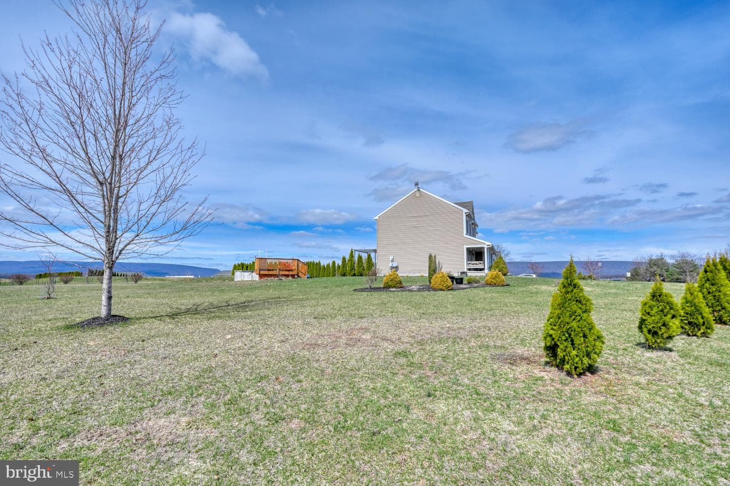 211 Oval Drive photo 44