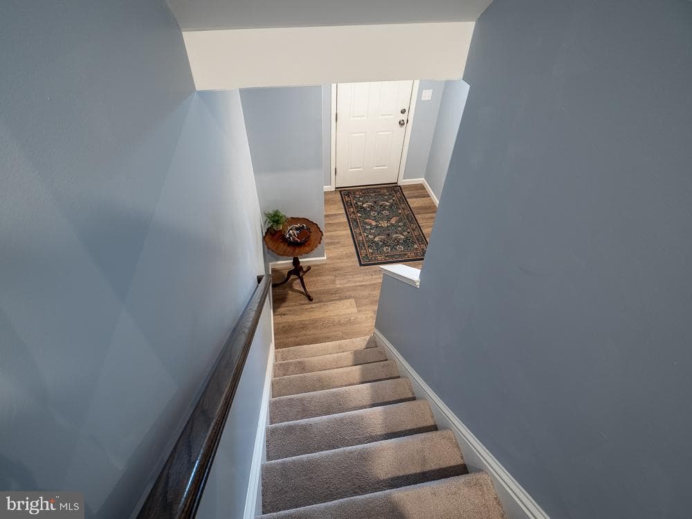 3 Hawley Court photo 17
