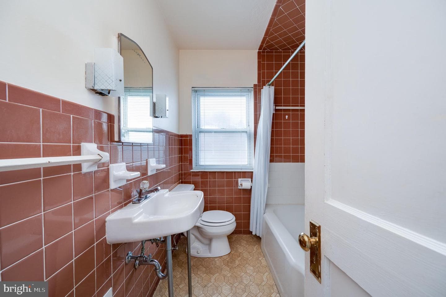 209 Carroll Street photo 26