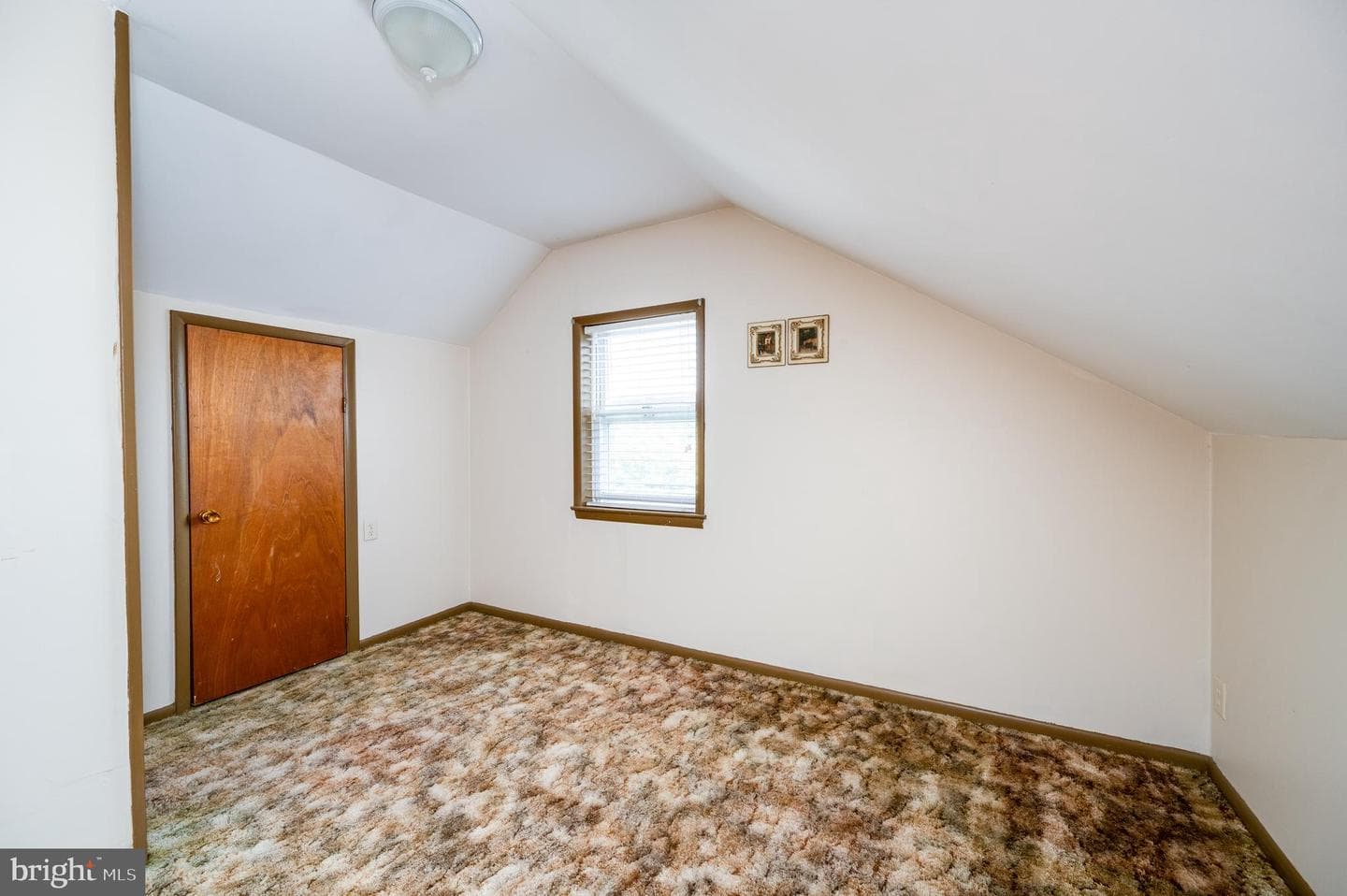 209 Carroll Street photo 30