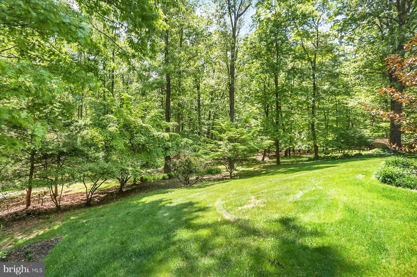 1575 Pine Grove Road photo 52