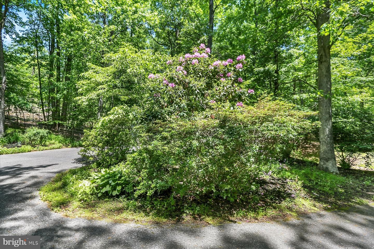 1575 Pine Grove Road photo 54