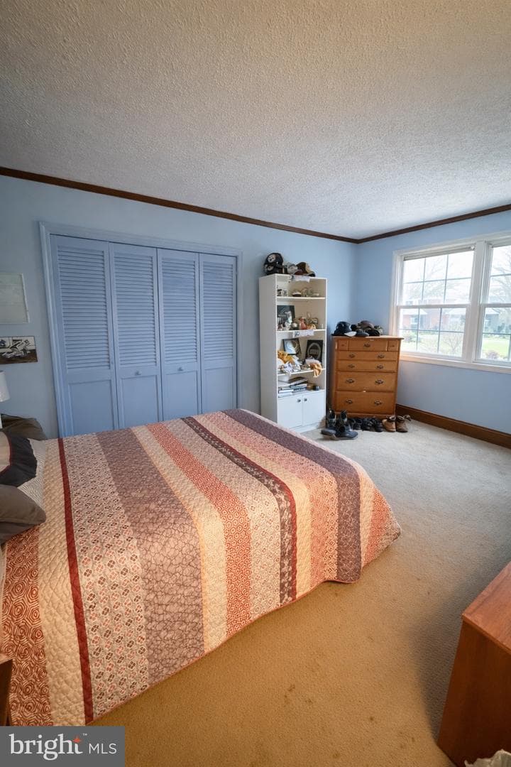 104 Hartline Drive photo 10