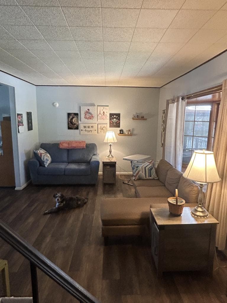 206 Hendel Street photo 10