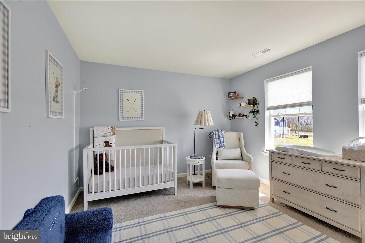 217 Merifield Court photo 22