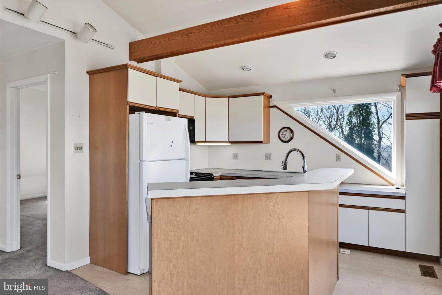 57 Arboretum Road photo 42