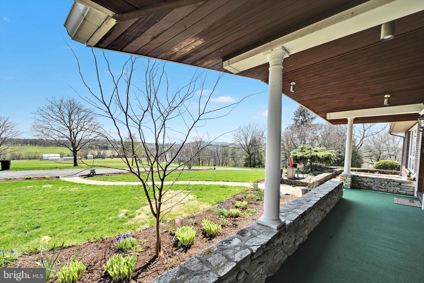 57 Arboretum Road photo 60