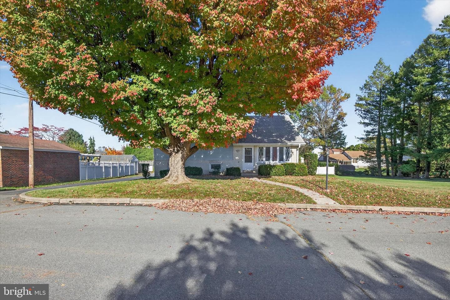 27 Rosemont Avenue photo 3