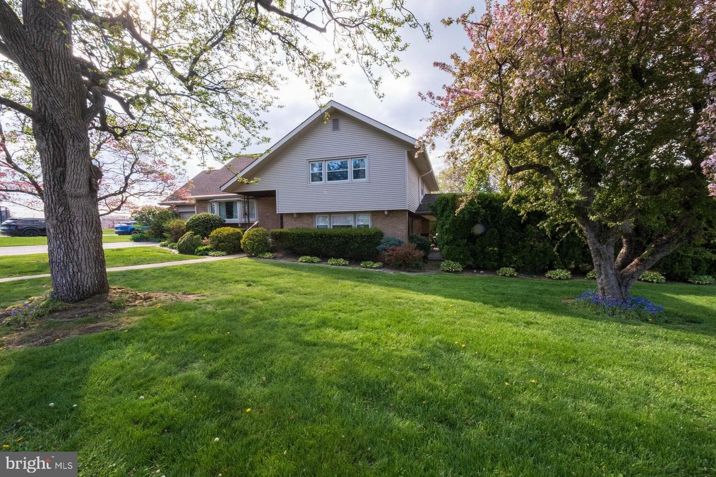 517 Berks Place photo 5