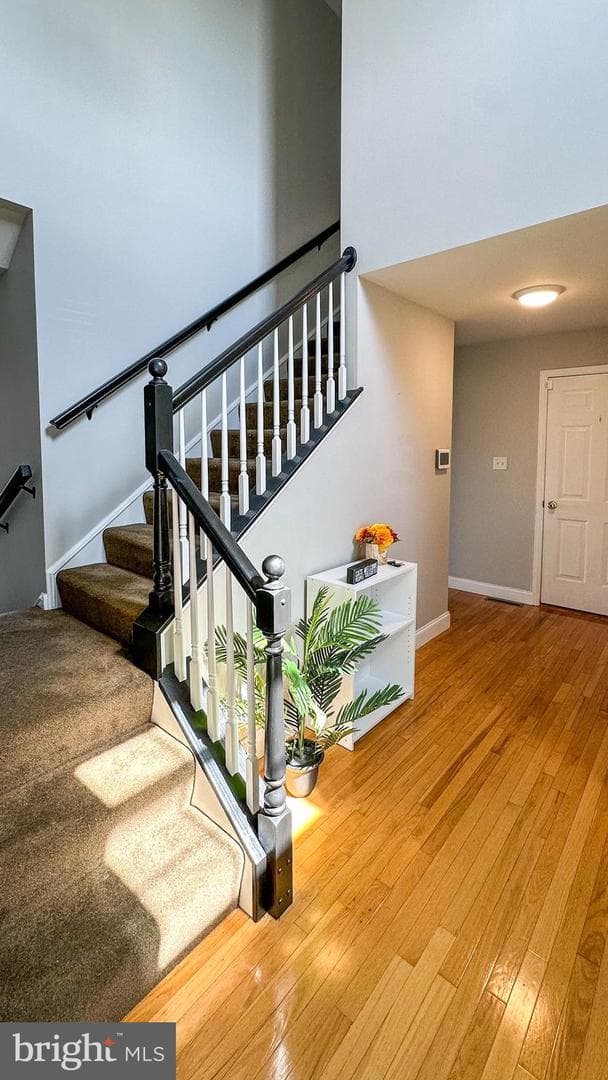 458 Appian Way photo 15