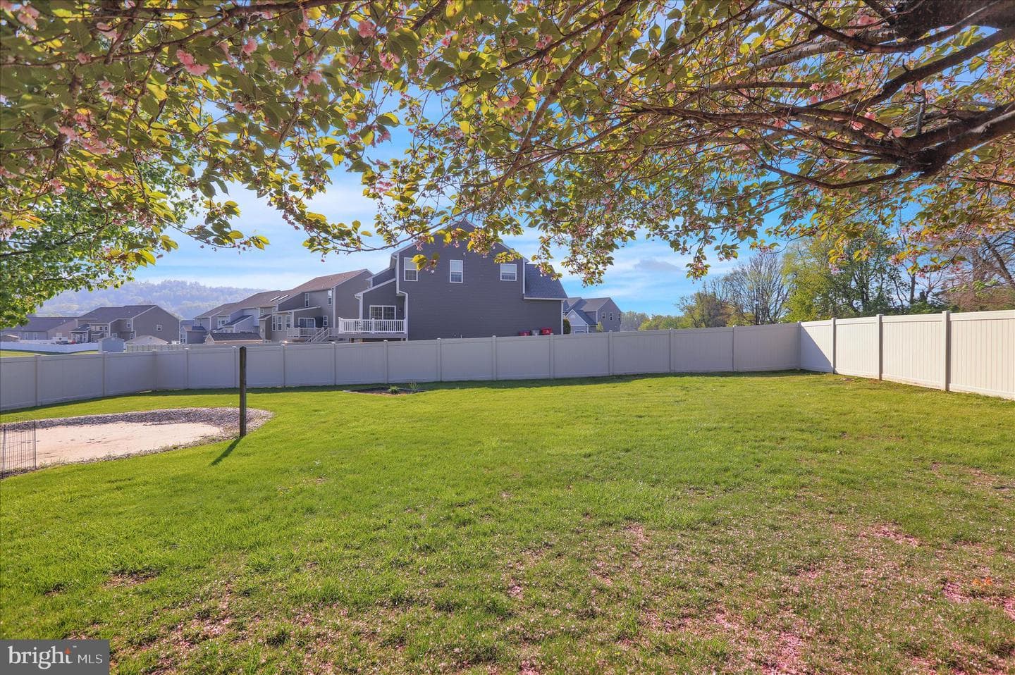 402 Columbus Street photo 7