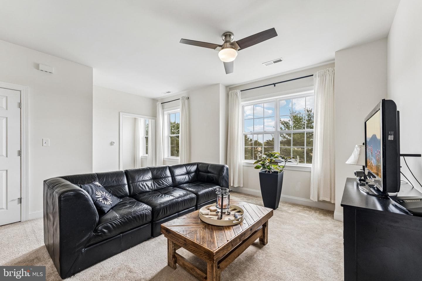 101 Dogwood Street #a-2 photo 4