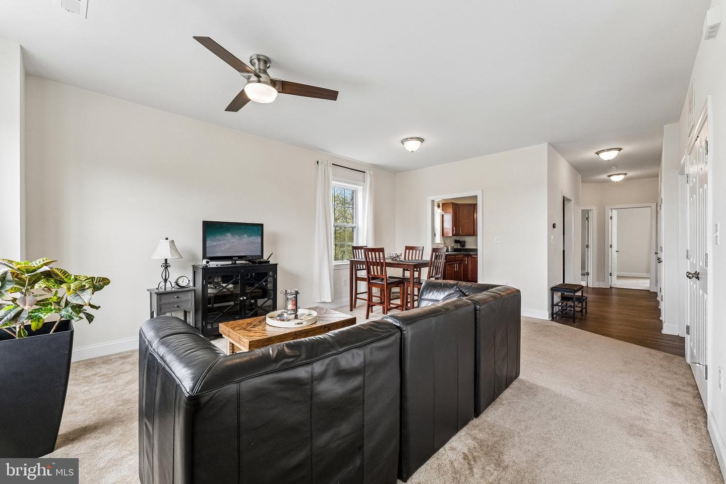 101 Dogwood Street #a-2 photo 6