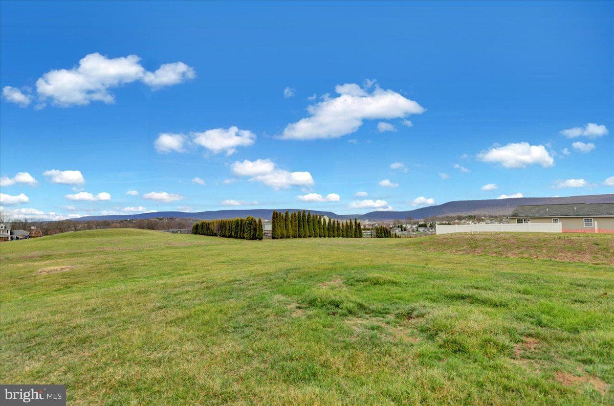 221 Oval Drive photo 44