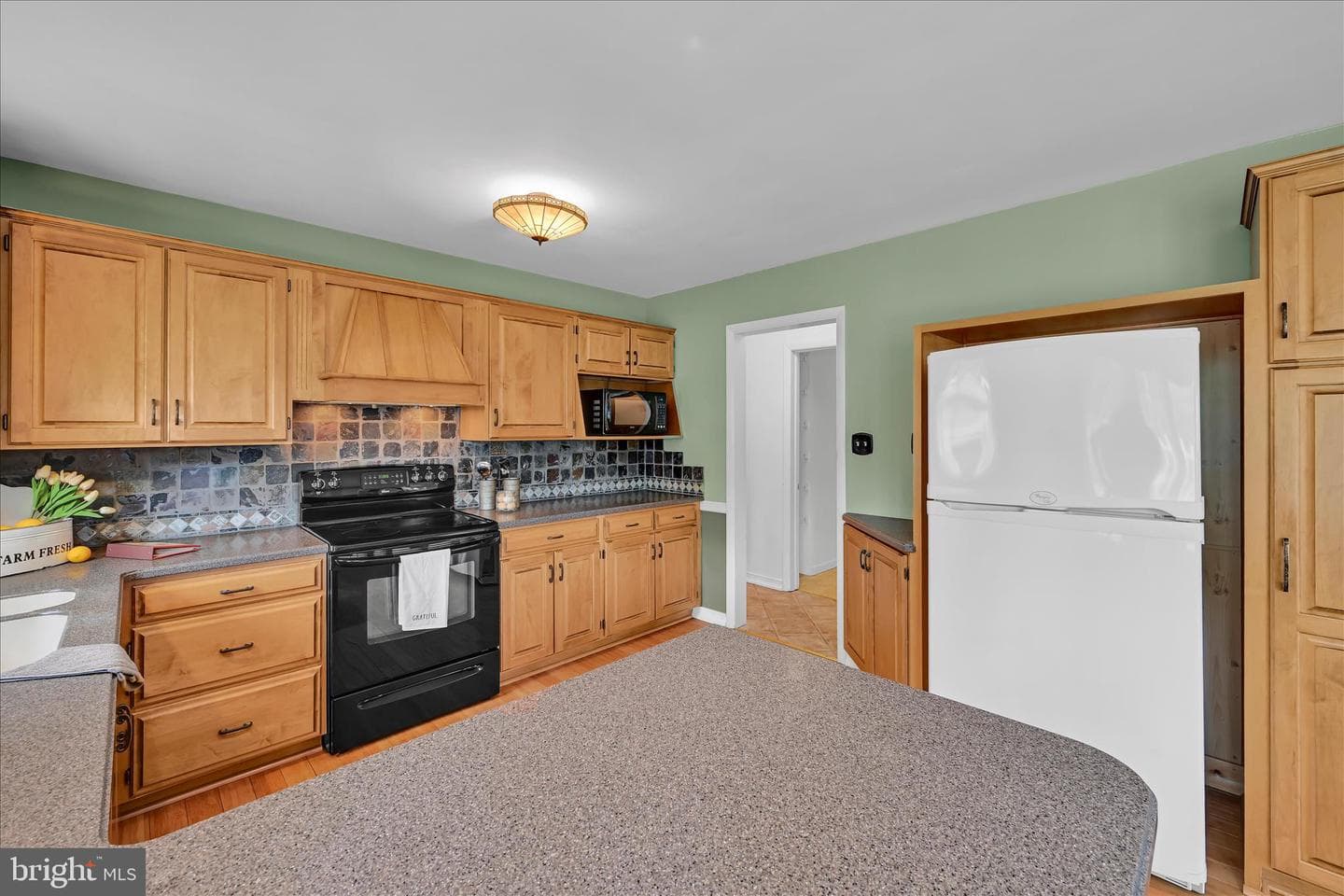 217 Seidel Street photo 8