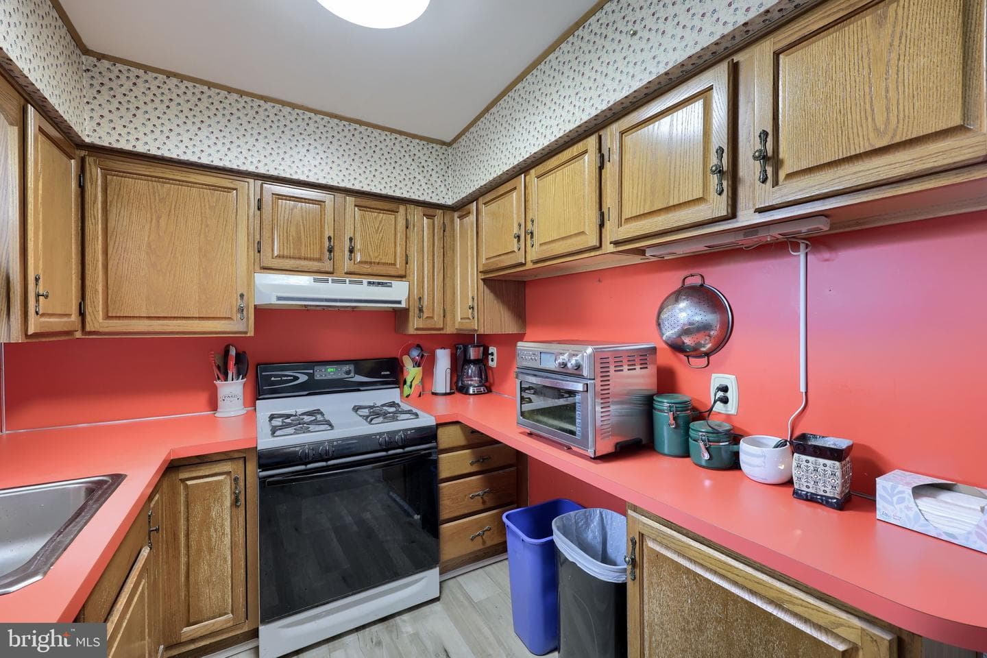 465 Moonflower Avenue photo 16