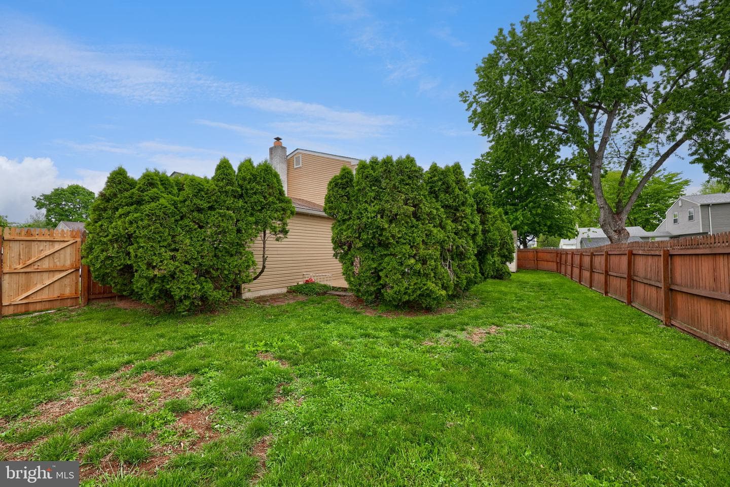 465 Moonflower Avenue photo 30