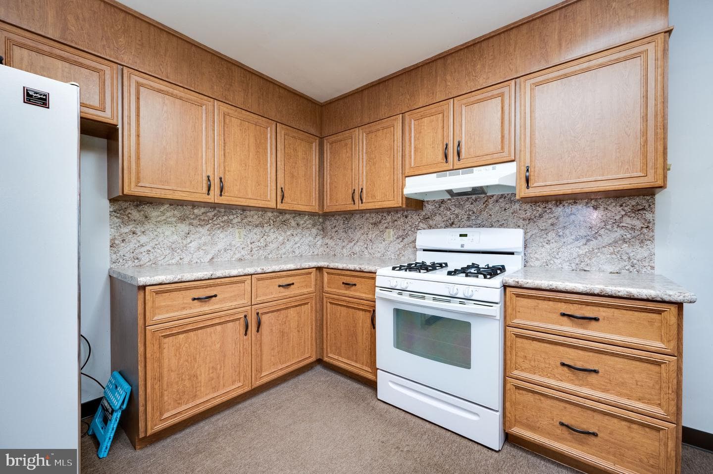 220 Maple Springs Drive photo 15