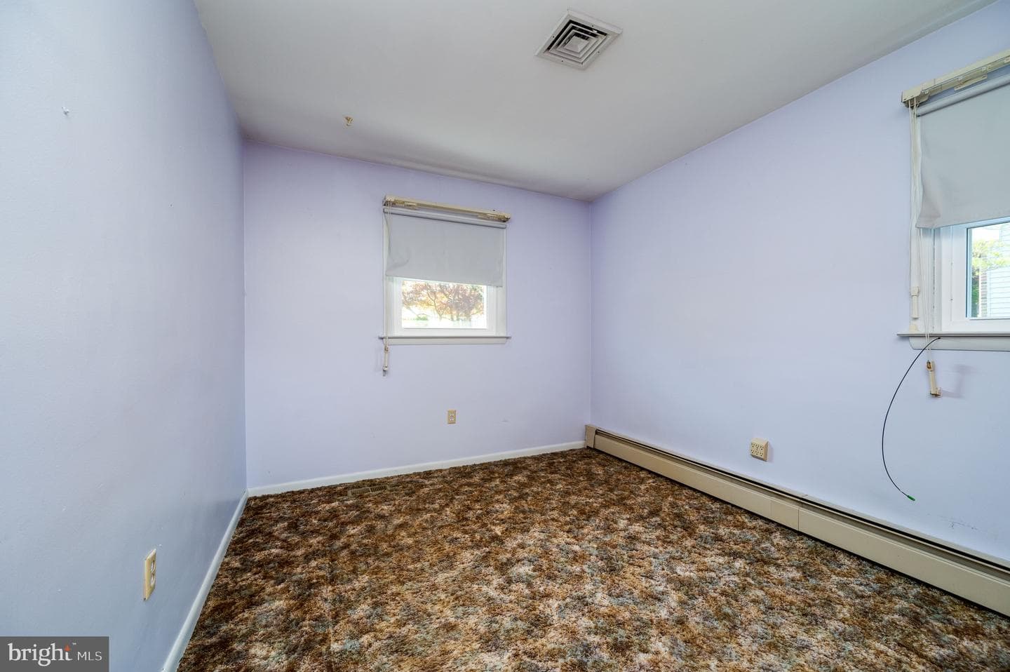 220 Maple Springs Drive photo 18