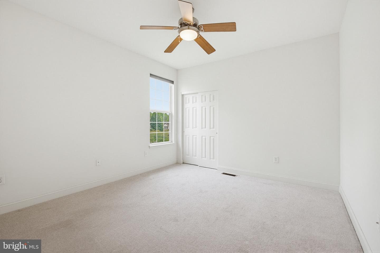 3 Courtney Rea Circle photo 35