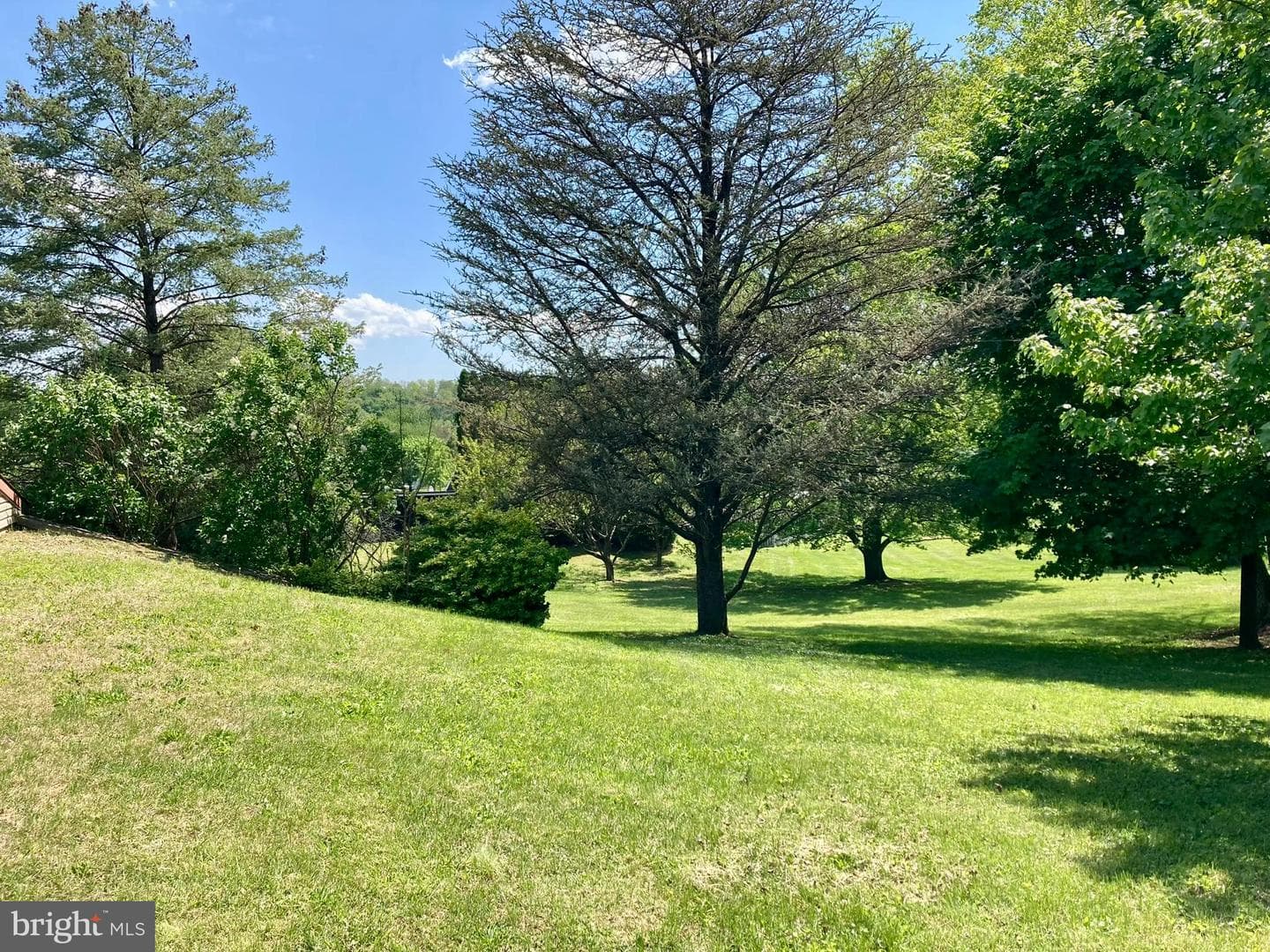 13 Sunrise Drive photo 29