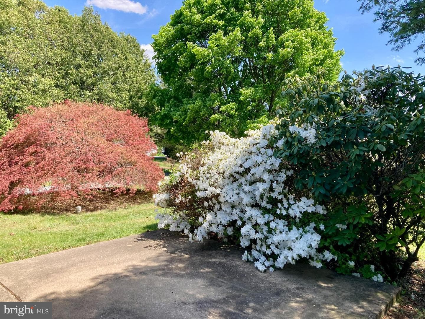 13 Sunrise Drive photo 37