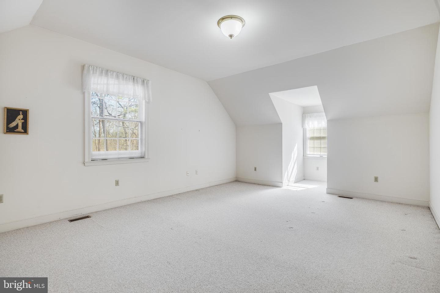 1821 Museum Road photo 47
