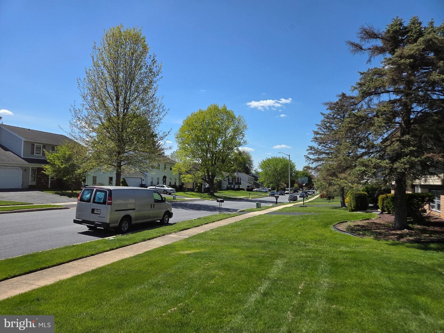 811 Carman Drive photo 4