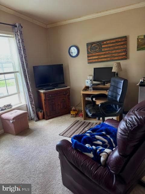 25 Dusk Drive photo 12
