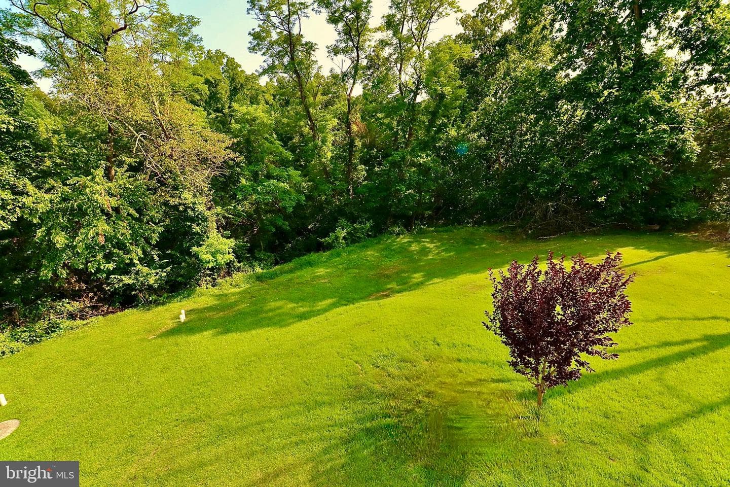 257 Valley Road photo 52