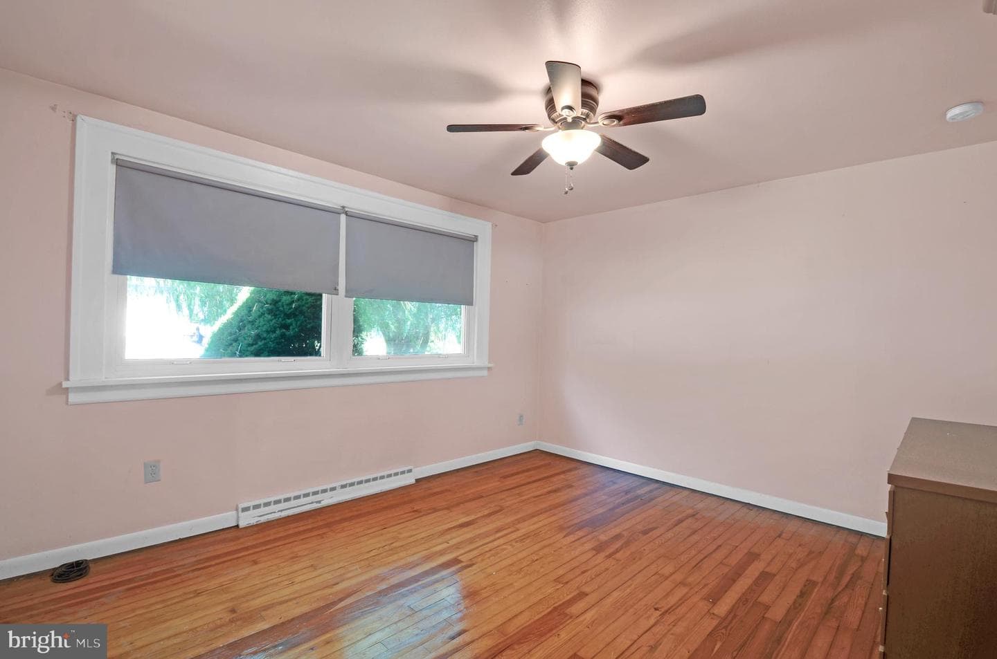 310 Carolina Avenue photo 12